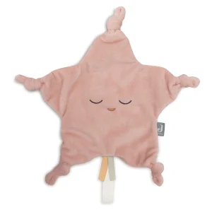 Attache tétine - Little Star Wild Rose