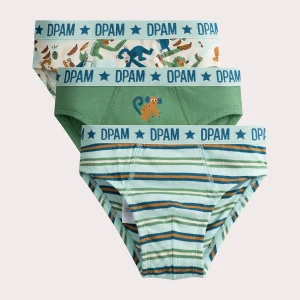 Lot de 3 slips à imprimé anamalier pour garçon