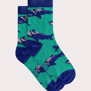 Chaussettes bleu motif requins pour garçon