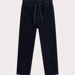 Pantalon bleu marine en velours milleraies