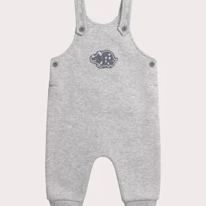 Salopette dinosaure pour bébé garçon