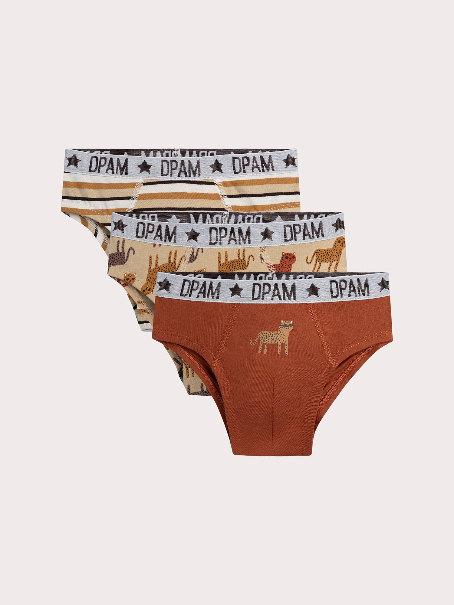 Lot de 3 slips léopard pour enfant garçon