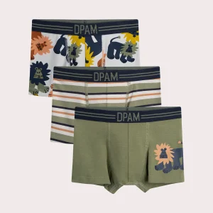 Lot de 3 boxers lion pour enfant garçon