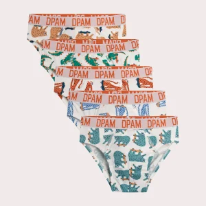Lot de 5 slips animaux pour enfant garçon