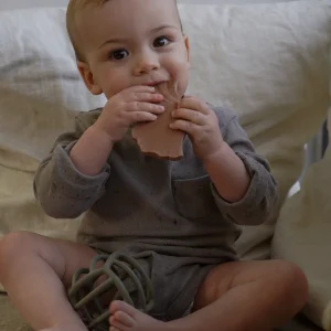 Gingko Teether, Earth