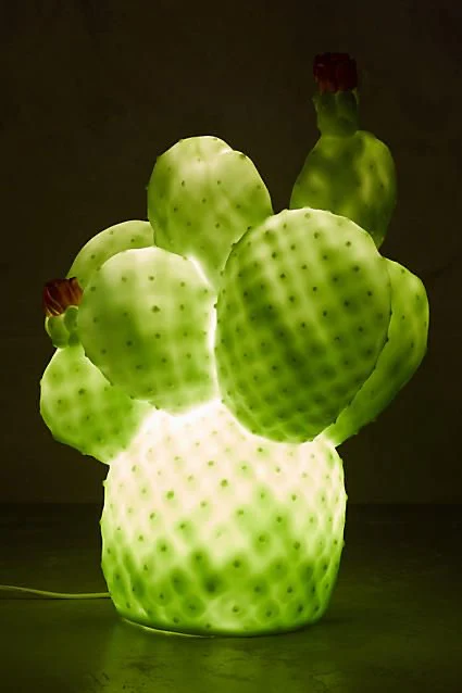 Lampe Cactus vert Goodnight Light – Image 3
