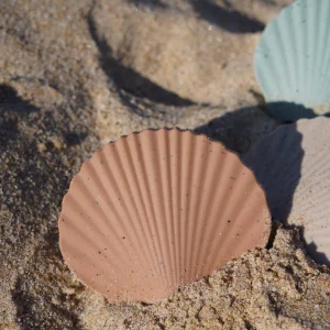 Shell Teether, Earth