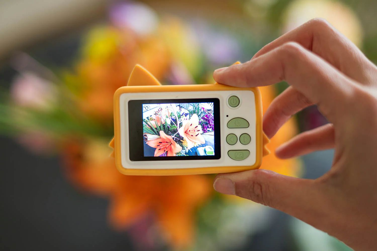 Appareil photo - Renard – Image 4