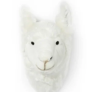 Lily le lama - Wild and Soft