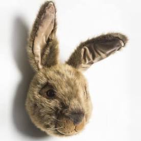 Trophée Lapin brun Lewis - Wild and Soft
