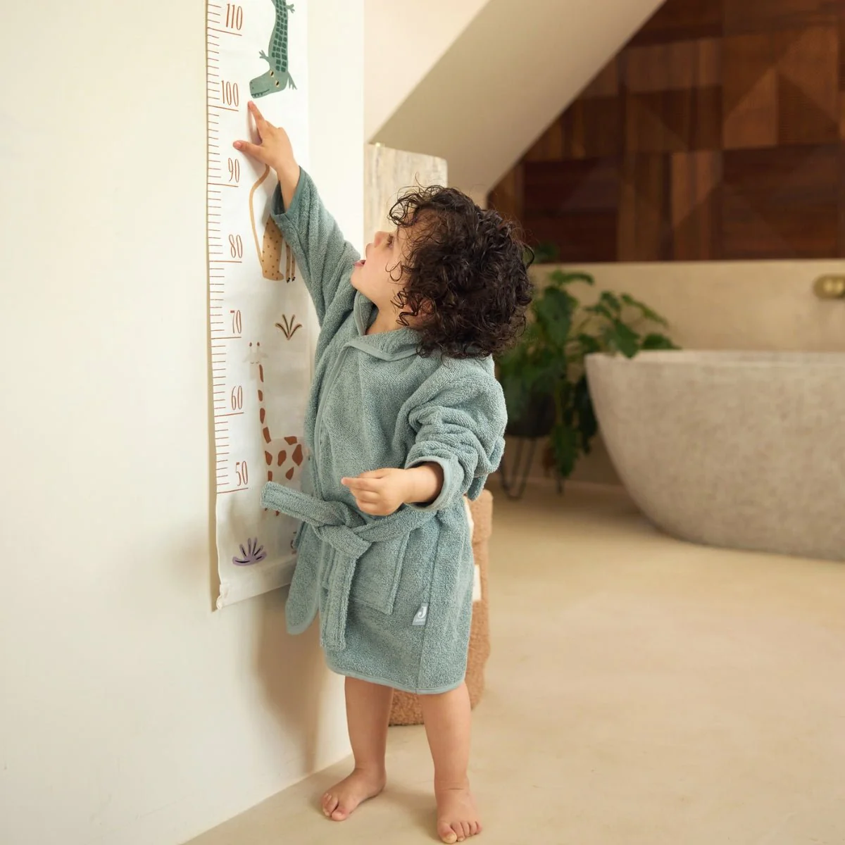 Toise - Jungle jambo – Image 2